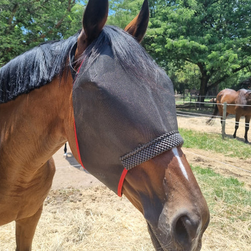 Flymask with Padding