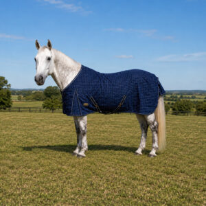 UNICORN TACK NAVY CHECKED DAYSHEET