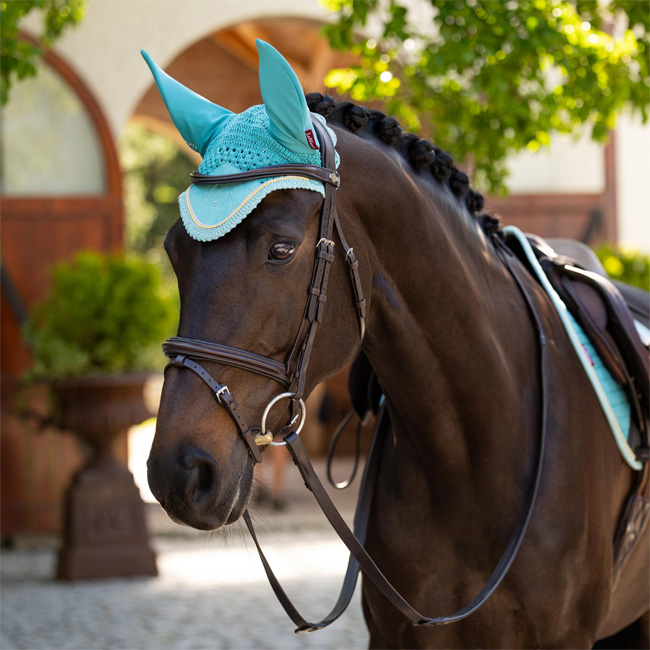 LeMieux Classic Fly Hood Lagoon - Image 2