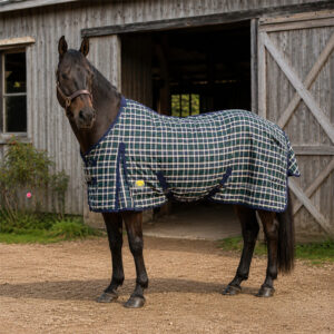 UNICORN TACK CHECKED DUVET