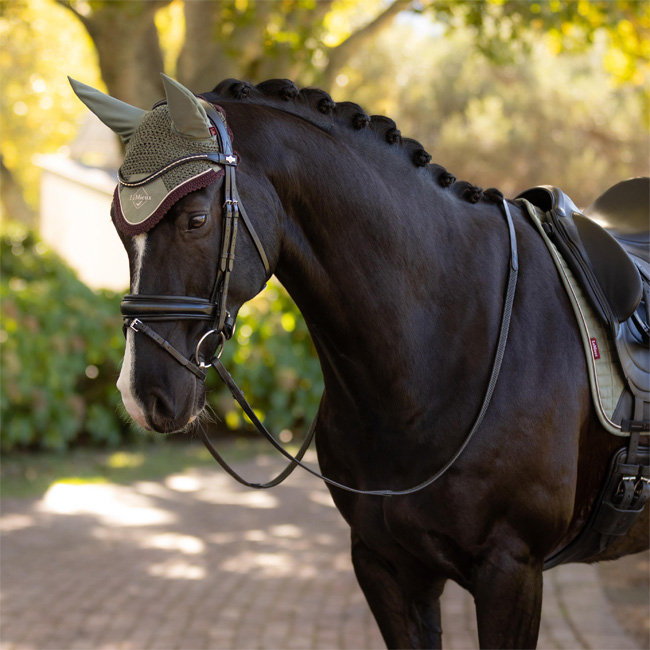 LeMieux Classic Fly Hood Rosemary - Image 2