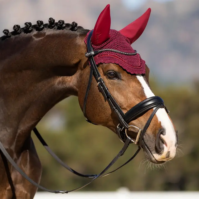 LeMieux Diamante Acoustic Fly Hood Burgundy - Image 2