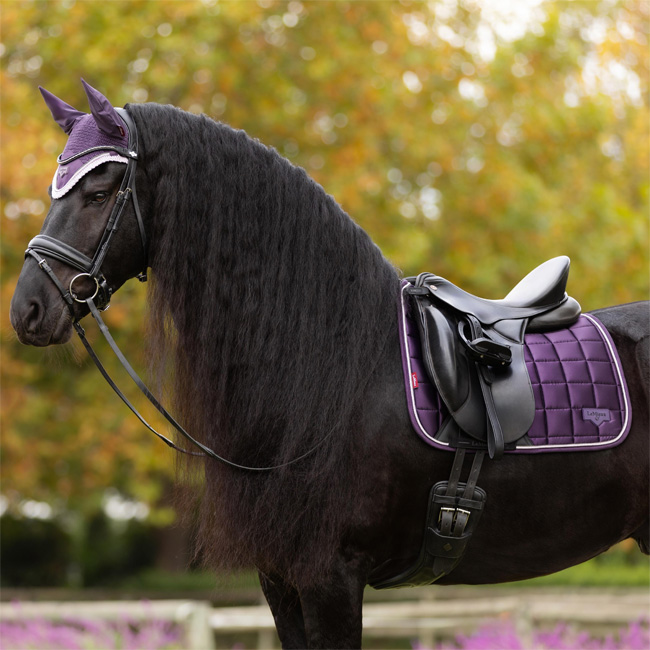 LeMieux Loire Classic Dressage Square Juniper - Image 3
