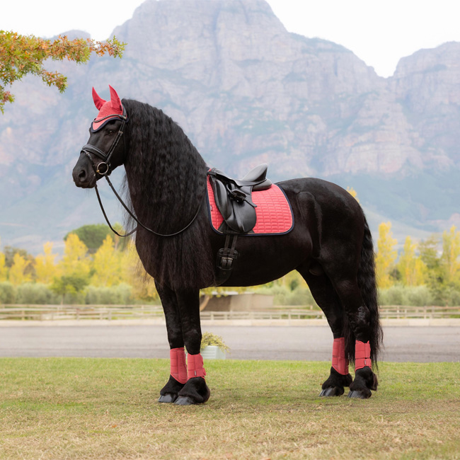 LeMieux ProSport Dressage Square Suede Cranberry - Image 3