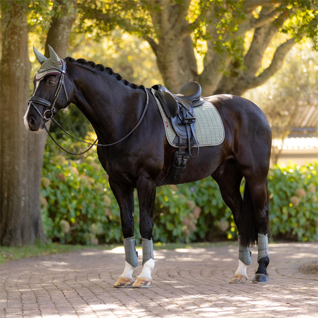 LeMieux ProSport Dressage Square Suede Rosemary - Image 3