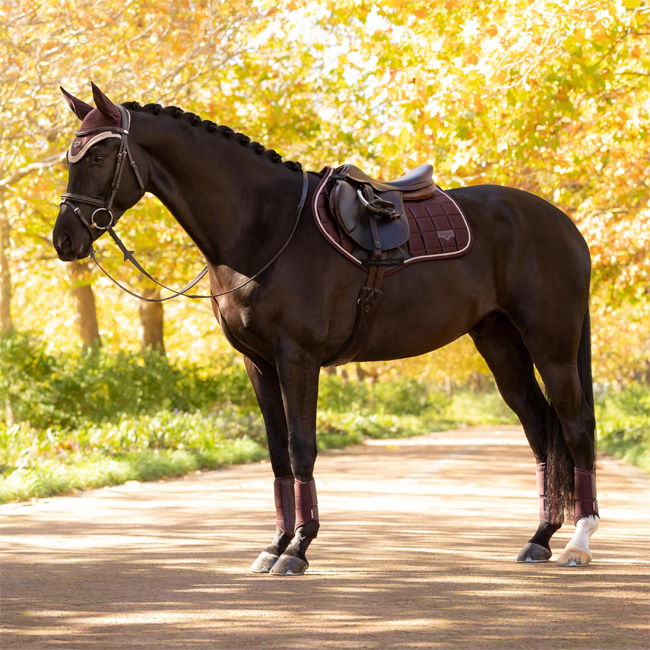 LeMieux Loire Classic Close Contact Square Damson - Image 3