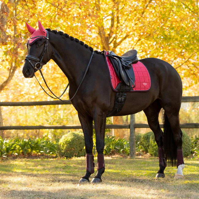 LeMieux Loire Classic Dressage Square Cranberry - Image 2