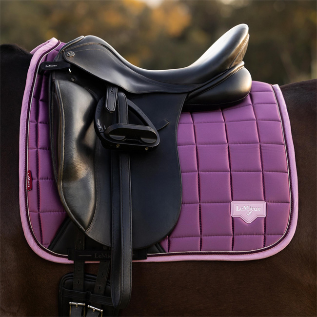 LeMieux Loire Classic Dressage Square Mallow - Image 2