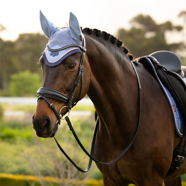 LeMieux Loire Fly Hood Powder Blue - Image 2