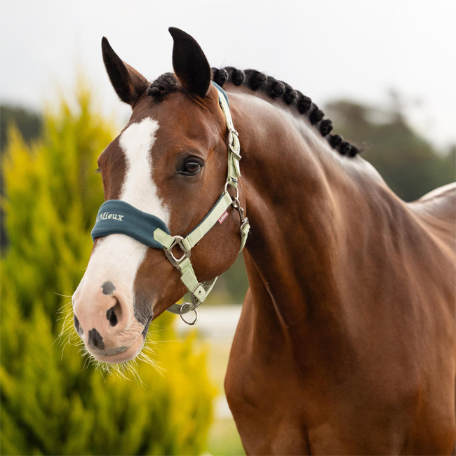 LeMieux Vogue Fleece Headcollar & Leadrope Macaron - Image 2