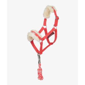 hobby horse headcollar harlow