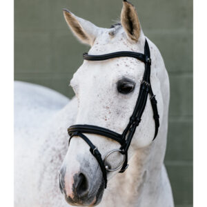 arika anatomic flash bridle