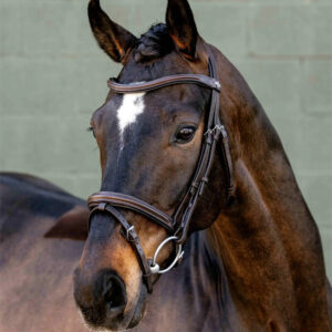 LEMIEUX ANATOMIC FLASH BRIDLE BROWN