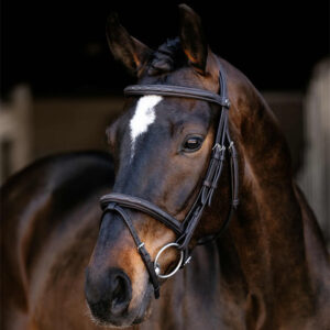 arika classique flash bridle