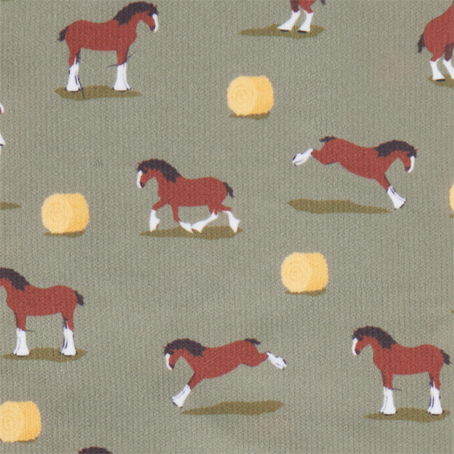 LeMieux Footsie Socks Clydesdale/Willow - Image 2