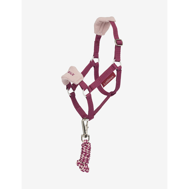 hobby horse headcollar blackberry
