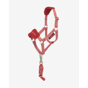 hobby horse headcollar spiced earth