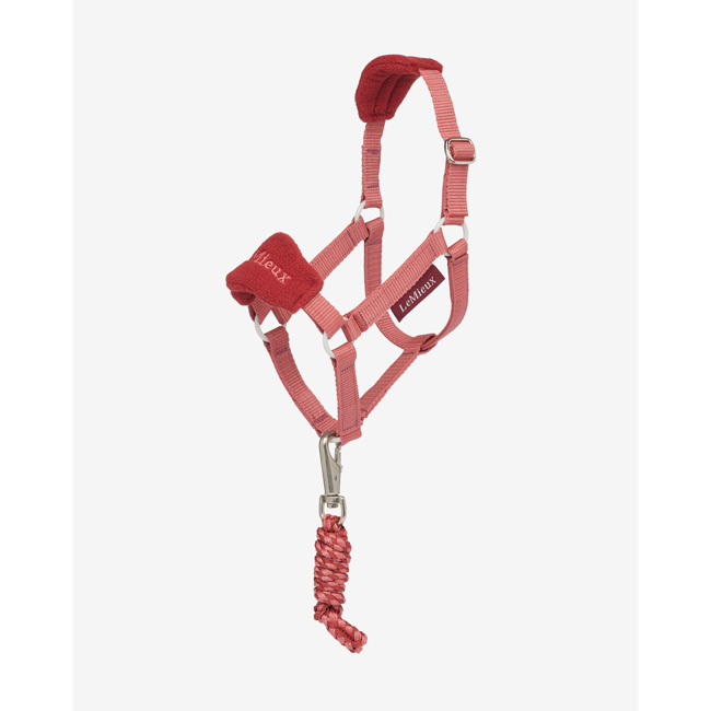 hobby horse headcollar spiced earth