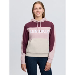 kadie colour block hoodie wild rose