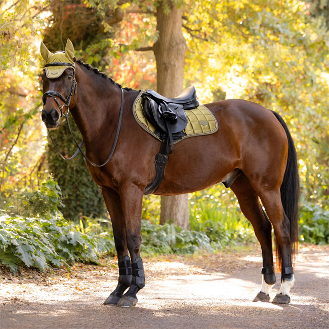 LeMieux Loire Classic Close Contact Square Gooseberry - Image 3