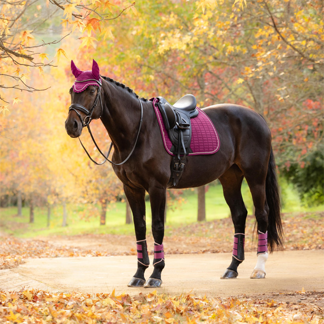 LeMieux ProSport Dressage Square Suede Blackberry - Image 2