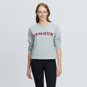 varsity crew neck sweater grey