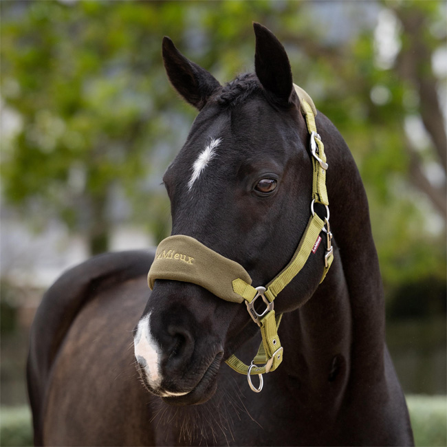 LeMieux Vogue Fleece Headcollar & Leadrope Gooseberry - Image 3